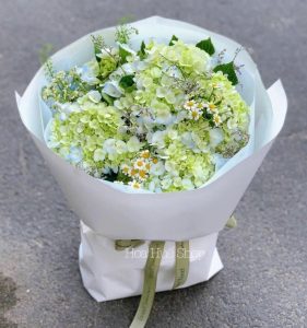 Top 20 loài hoa đẹp nhất thế giới