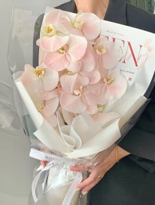 Top 20 loài hoa đẹp nhất thế giới