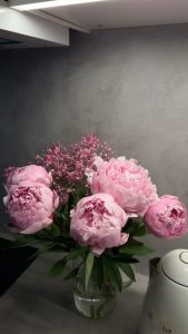 Hoa mẫu đơn: Hiện thân của vẻ đẹp quý phái