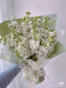 Top 20 loài hoa đẹp nhất thế giới